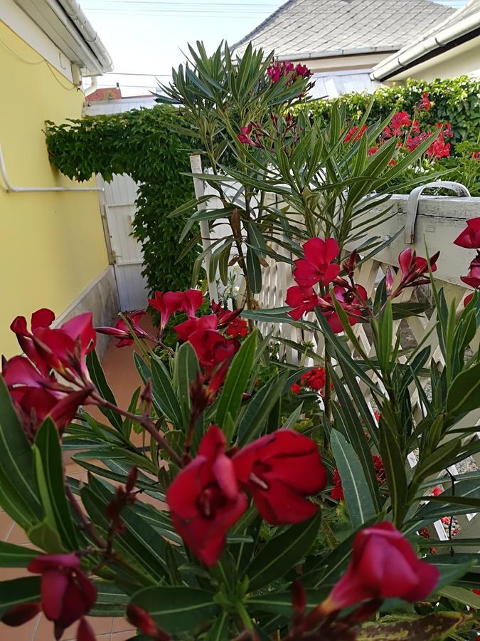 Castello Vendeg Es Apartmanhaz Eğri Dış mekan fotoğraf